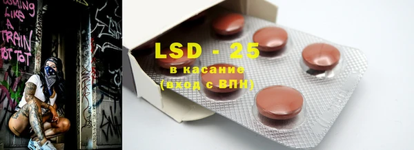 шишки Сосновый Бор