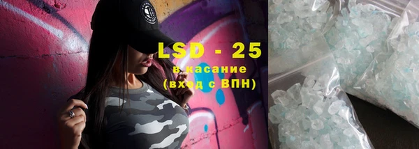 шишки Сосновый Бор