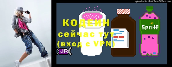 шишки Сосновый Бор