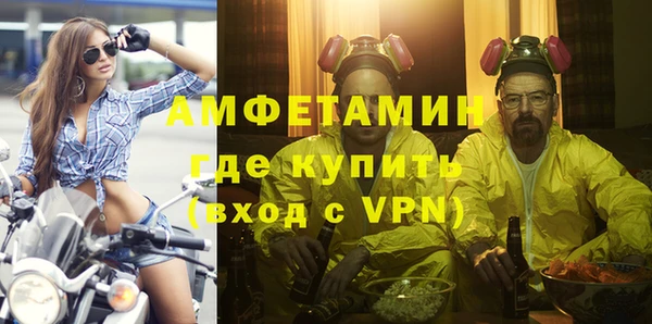 шишки Сосновый Бор