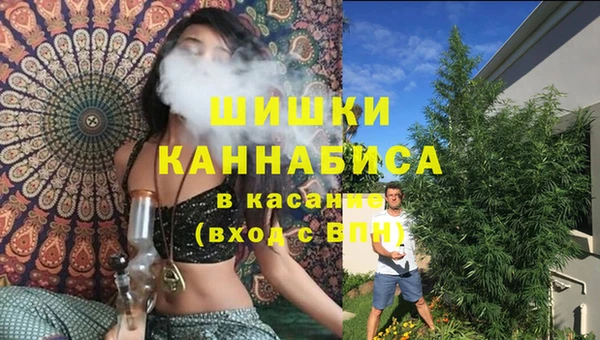 МДПВ Струнино