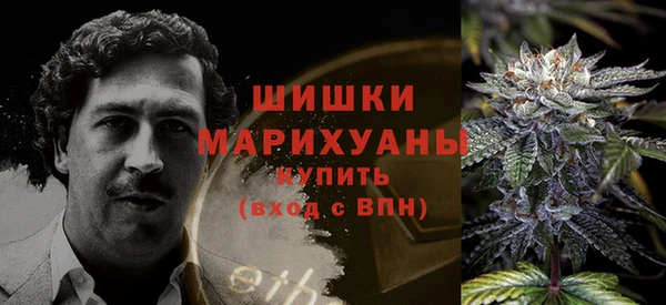 шишки Сосновый Бор
