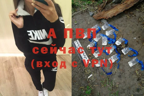 шишки Сосновый Бор