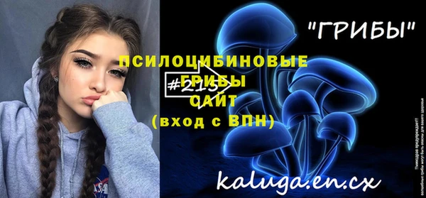 шишки Сосновый Бор
