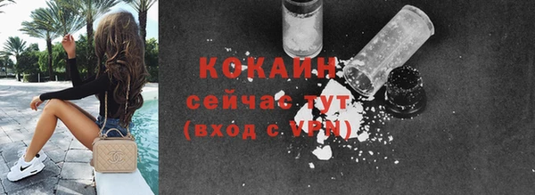 шишки Сосновый Бор