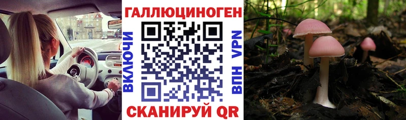 Псилоцибиновые грибы Psilocybine cubensis  Купить закладки  Кашира 