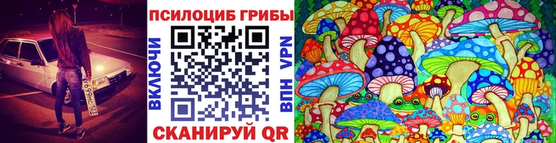 Псилоцибиновые грибы мухоморы Кашира