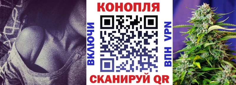 Купить закладки  Кашира  Конопля AK-47 